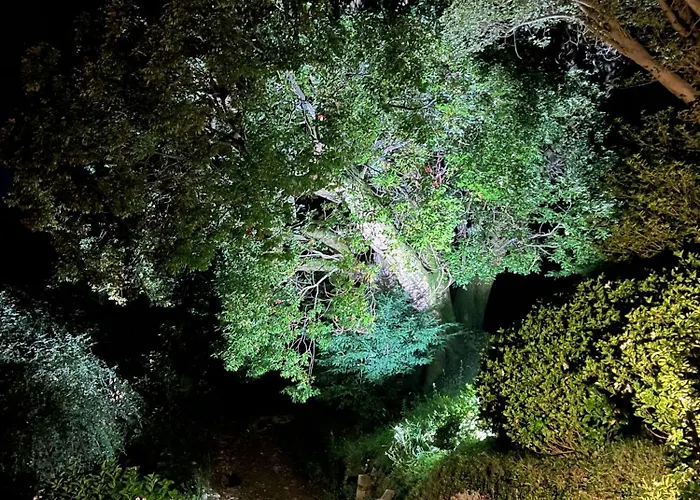 Serra Boutique & Villa Ghiffa